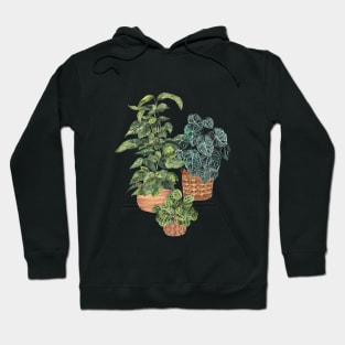 House Plants 50 Hoodie